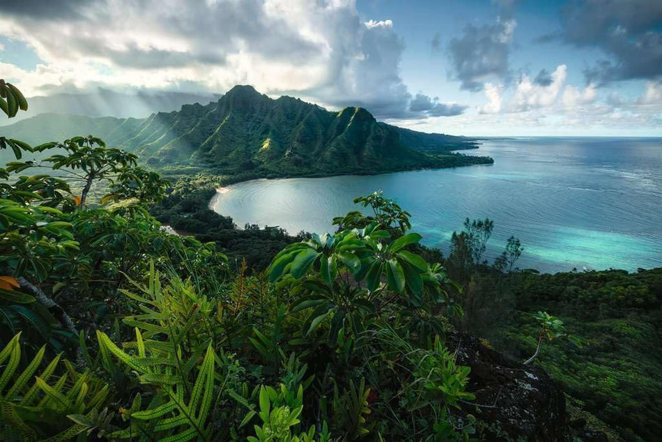 Ravensburger: Hawaiian Viewpoint: 5000 Piece Puzzle