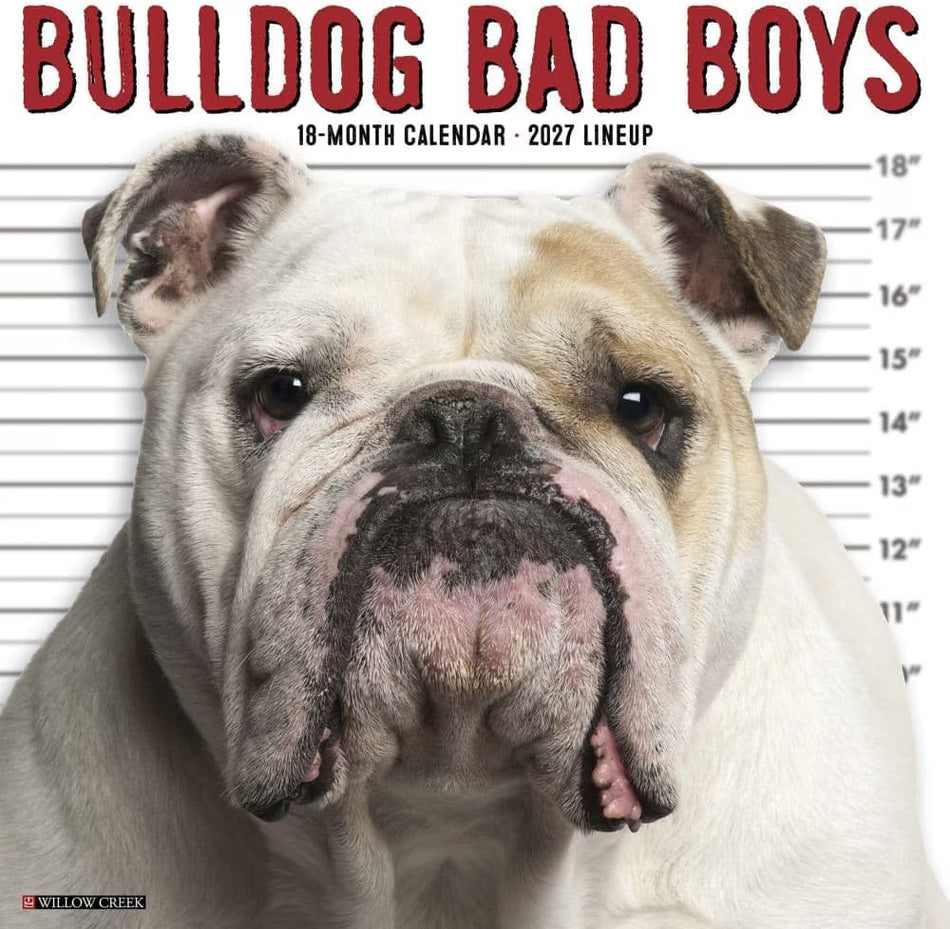 Bulldog Bad Boys - 2027 Wall Calendar | Willow Creek Press