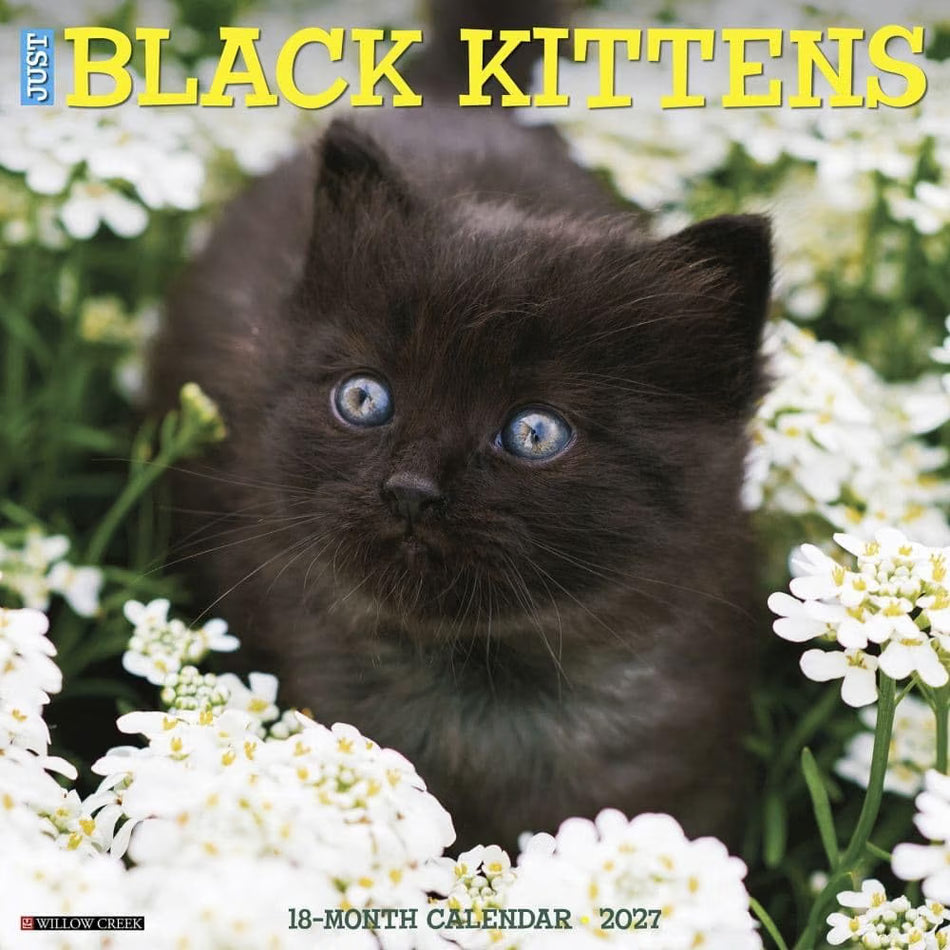 Black Kittens - 2027 Wall Calendar | Willow Creek Press