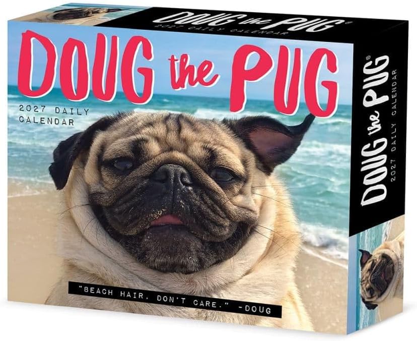 Doug the Pug - 2027 Box Calendar | Willow Creek Press