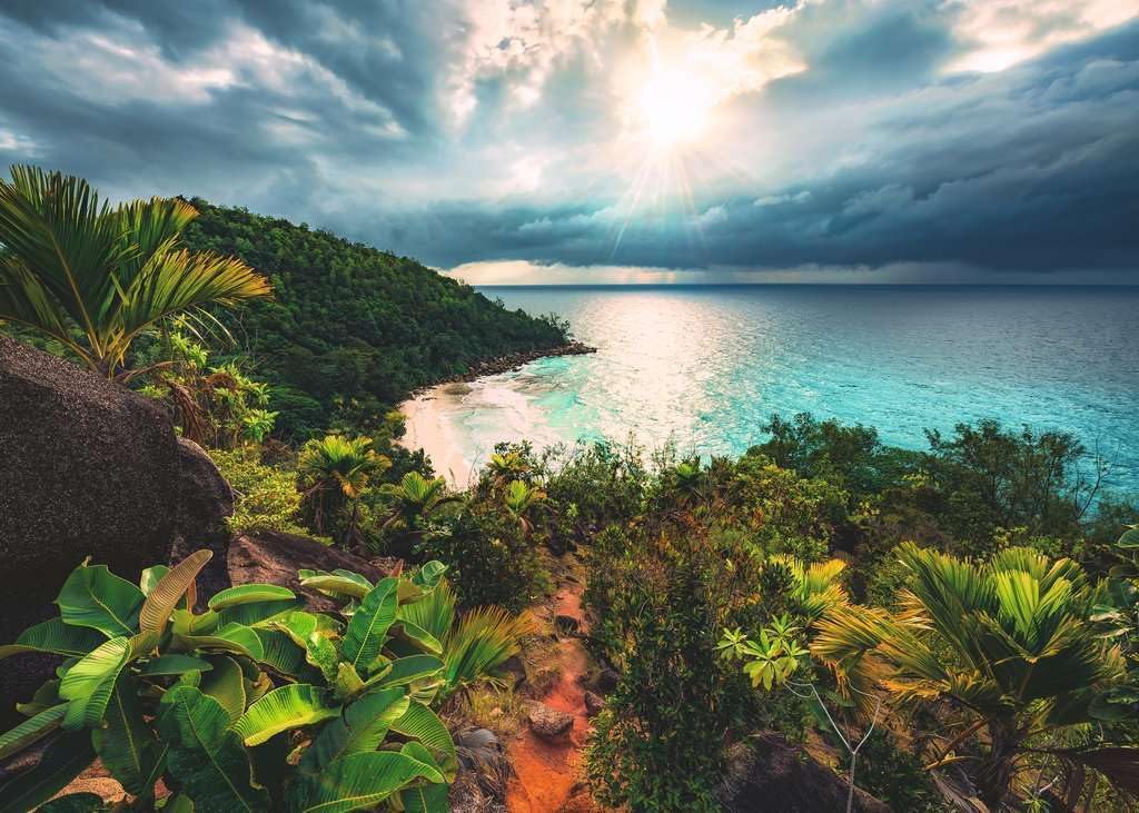 ravensburger jigsaw puzzle image  Tropical landscape with lush greenery and a beach under a cloudy sky.