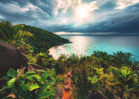 ravensburger jigsaw puzzle image  Tropical landscape with lush greenery and a beach under a cloudy sky.