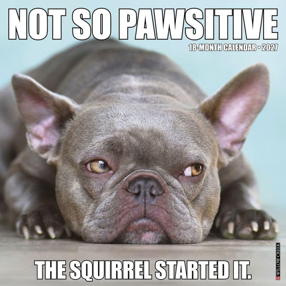 Not So Pawsitive - 2027 Wall Calendar | Willow Creek Press