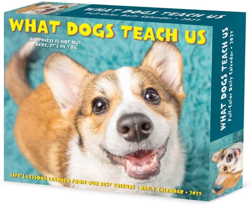 What Dogs Teach Us - 2027 Box Calendar | Willow Creek Press