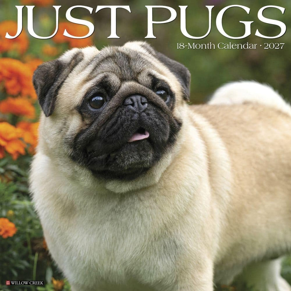 Just Pugs - 2027 Wall Calendar | Willow Creek Press