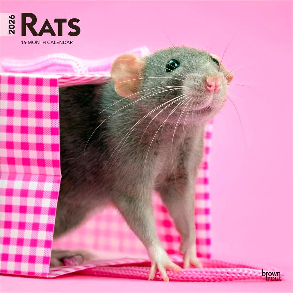 Browntrout: Rats: 2026 12 x 24 Inch (Hanging) Monthly Square Wall Calendar