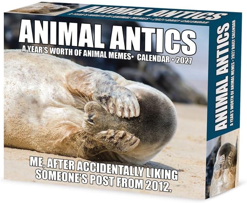 Animal Antics - 2027 Box Calendar | Willow Creek Press