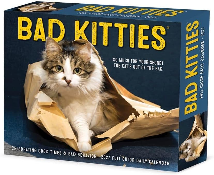 Bad Kitties - 2027 Box Calendar | Willow Creek Press