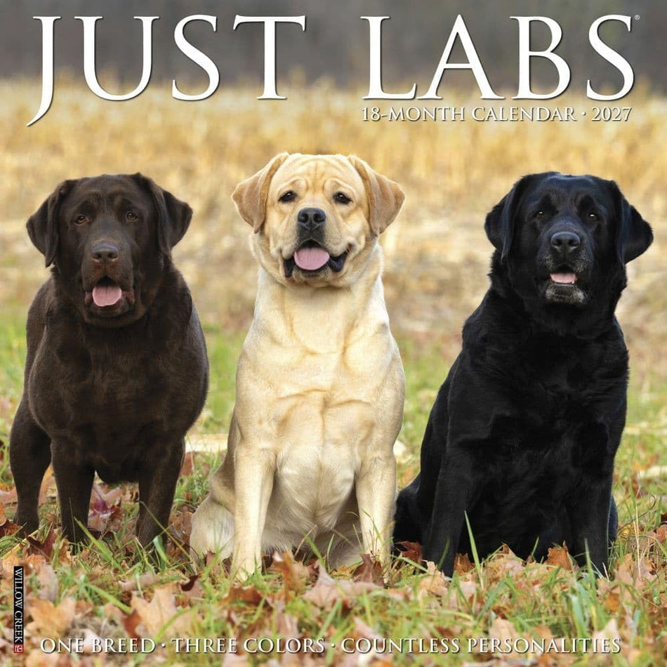 Just Labs - 2027 Wall Calendar | Willow Creek Press