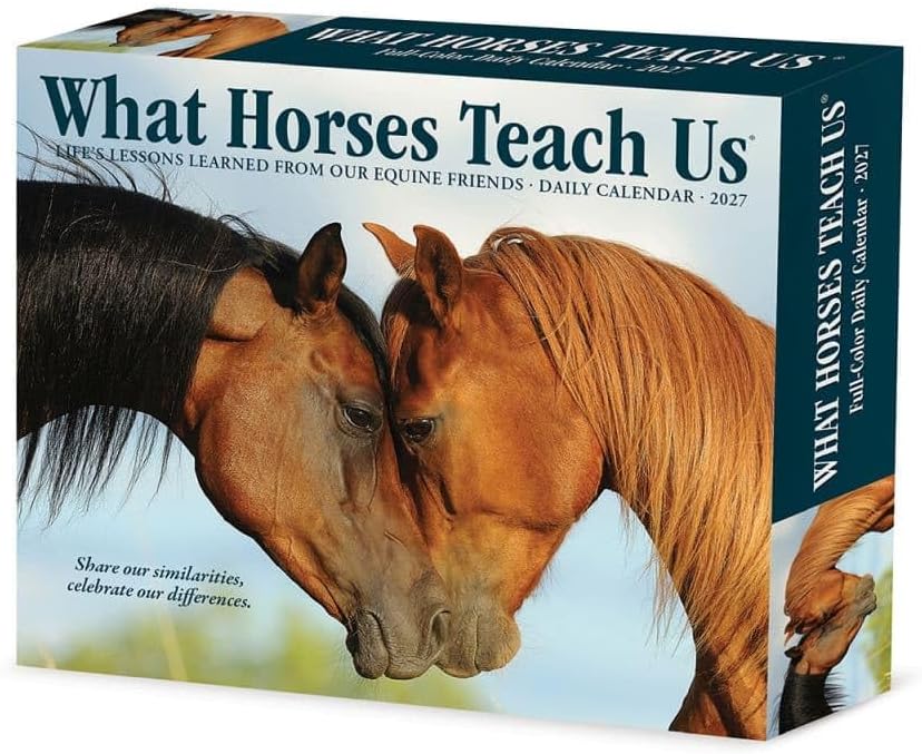 What Horses Teach Us - 2027 Box Calendar | Willow Creek Press