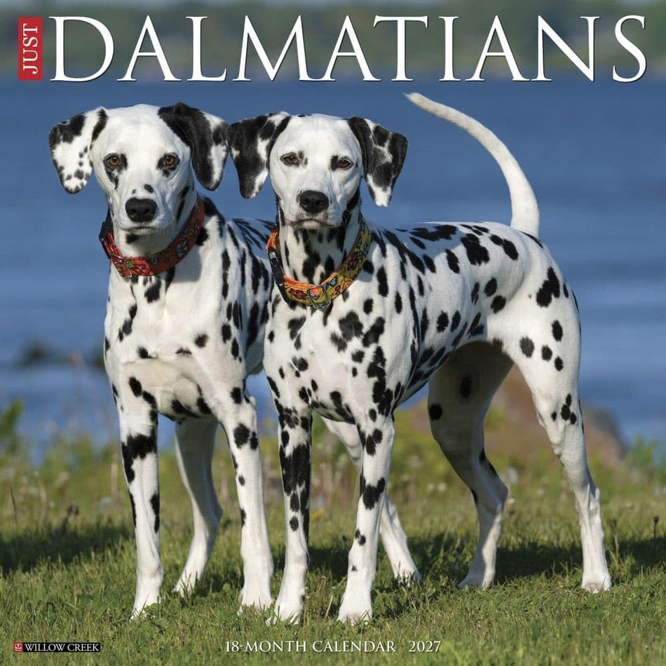 Just Dalmatians - 2027 Wall Calendar | Willow Creek Press