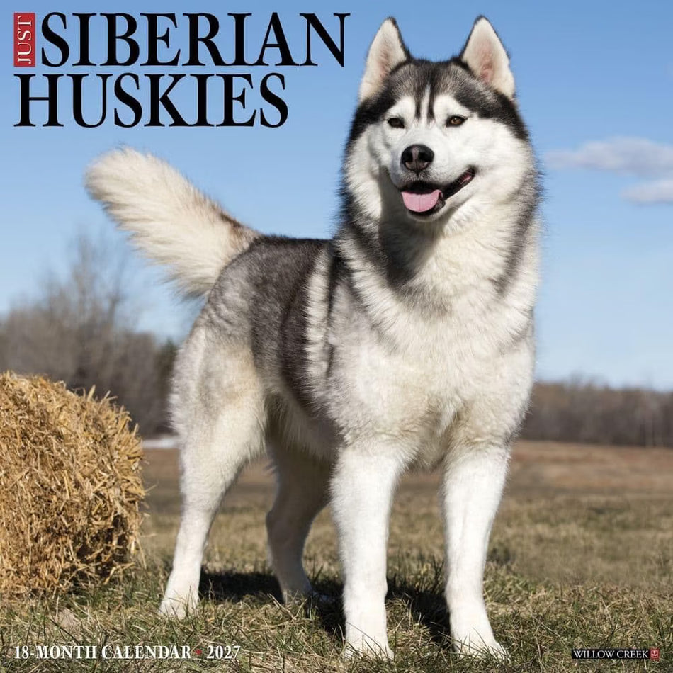 Siberian Huskies - 2027 Wall Calendar | Willow Creek Press
