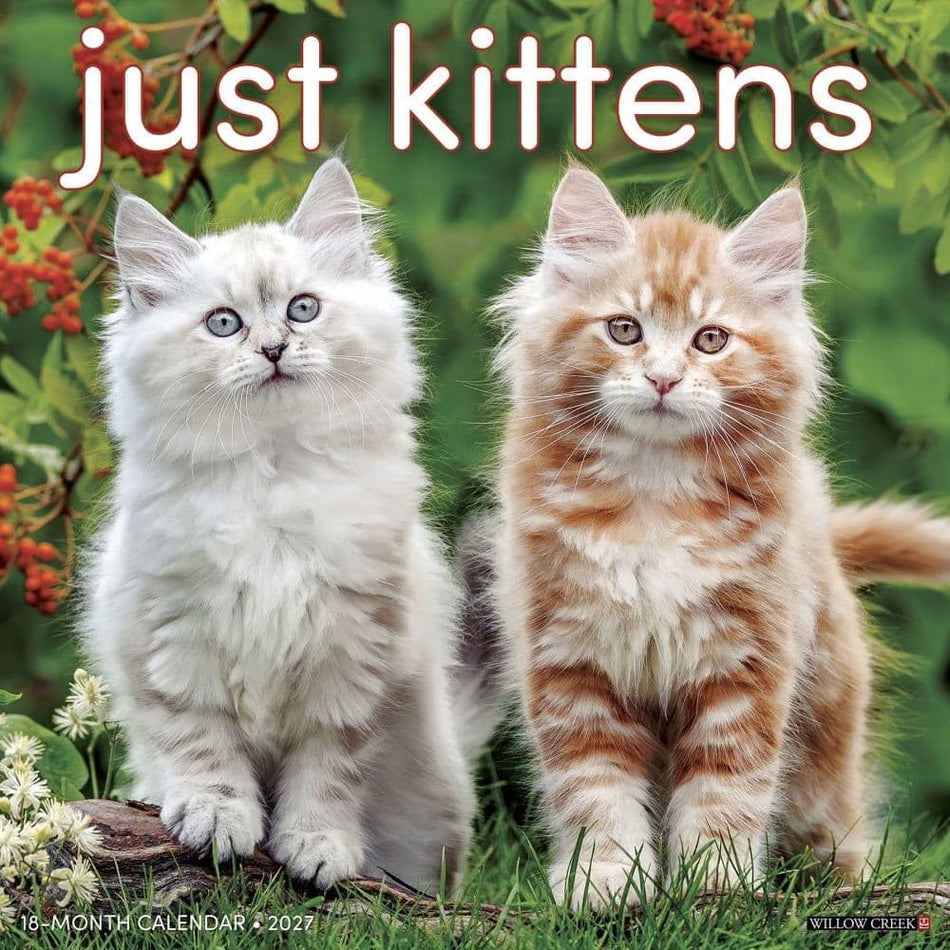 Just Kittens - 2027 Wall Calendar | Willow Creek Press