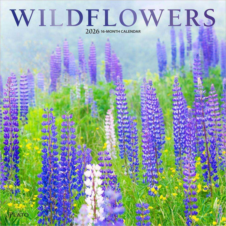 Browntrout: Wildflowers: 2026 12 x 24 Inch (Hanging) Monthly Square Wall Calendar | Foil Stamped Cover | Plato