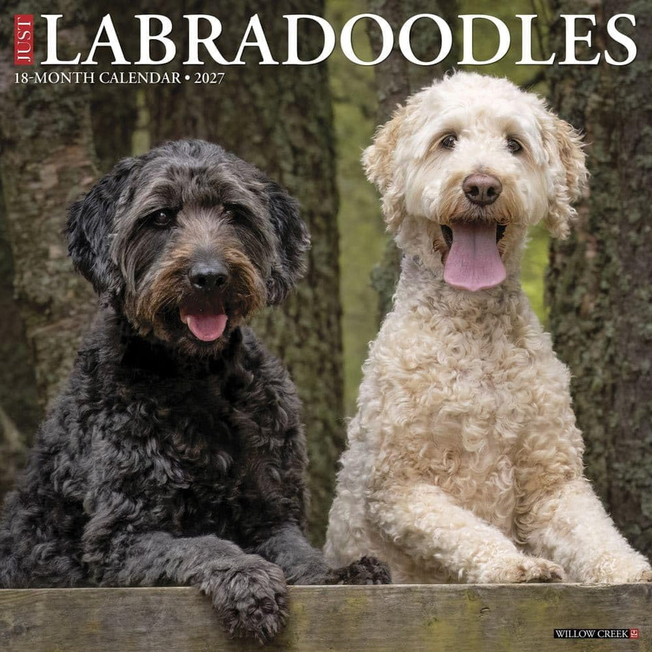 Labradoodles - 2027 Wall Calendar | Willow Creek Press