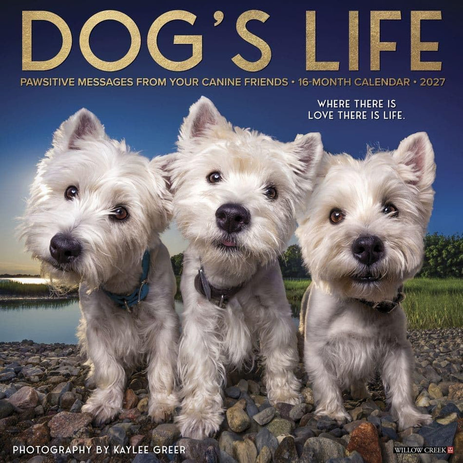 Dog's Life - 2027 Wall Calendar | Willow Creek Press