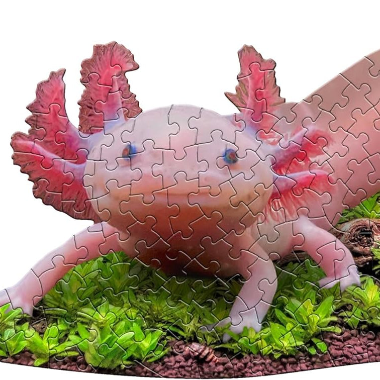 Banner image featuring a shaped animal puzzle representing the Madd Capp 100‑piece collection.