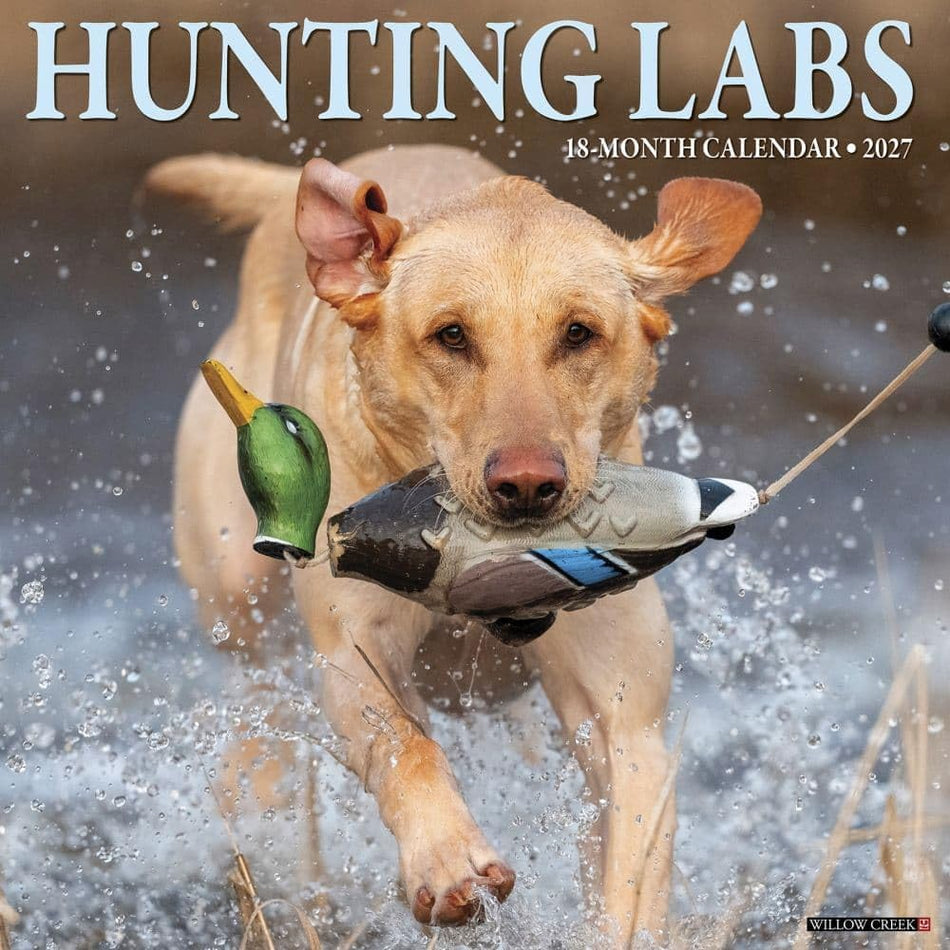 Hunting Labs - 2027 Wall Calendar | Willow Creek Press