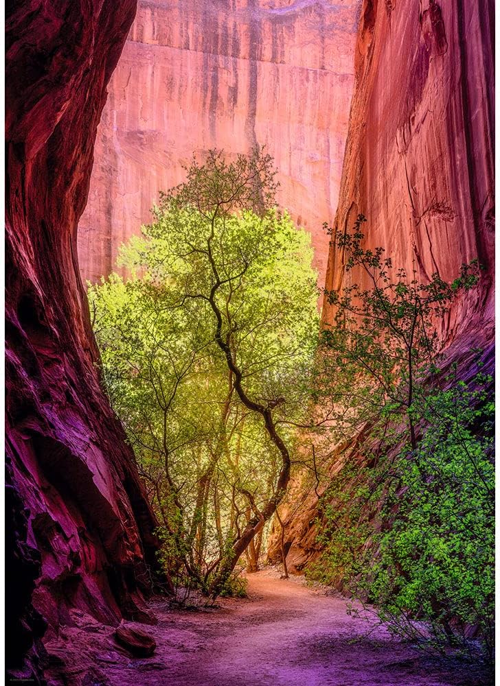 Heye: Power of Nature: Singing Canyon: 1000 Piece Puzzle