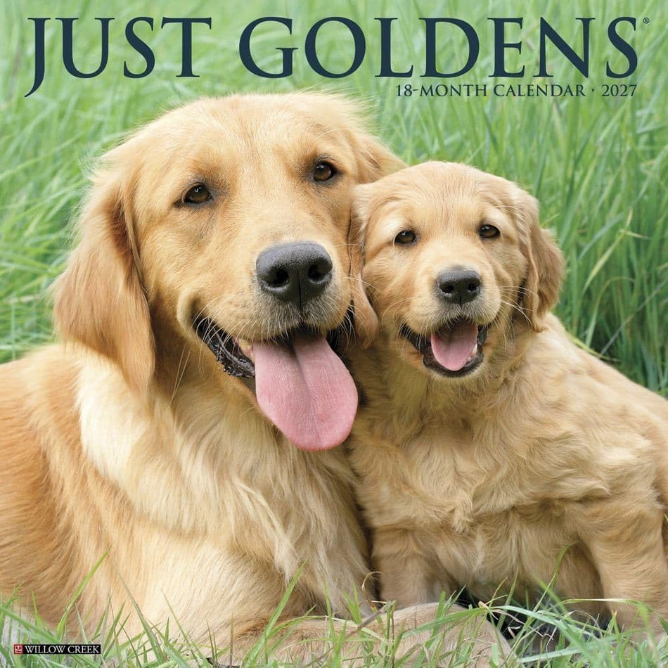 Just Goldens - 2027 Wall Calendar | Willow Creek Press