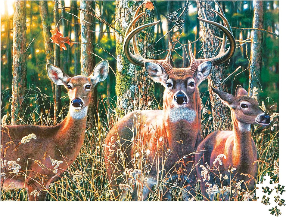 Willow Creek Press: Woodlands Shadow : 1000 Piece Puzzle