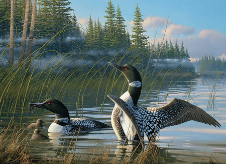 Cobble Hill 1000-piece jigsaw puzzle of two loons on a lake