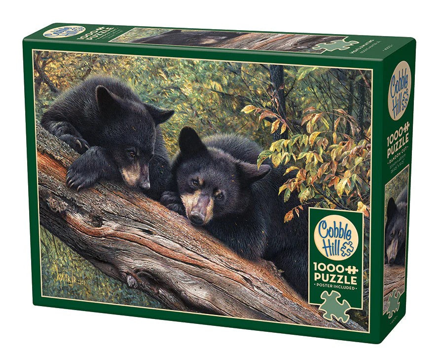 Cobble Hills 1000-piece jigsaw puzzle box with two bear cubs on a log