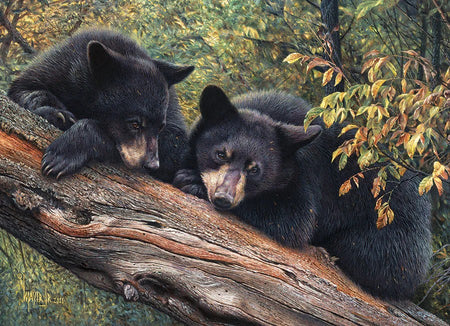Cobble Hill 1000-piece jigsaw puzzle of Two black bears on a log in a forest setting