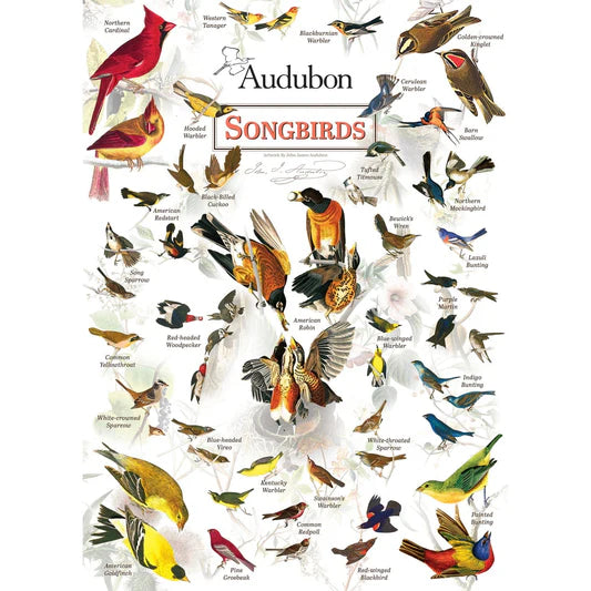 Master Pieces: Audubon- Songbirds: 1000 Piece Puzzle