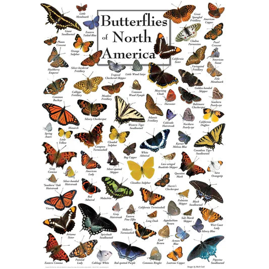 Master Pieces: Butterflies of North America: 1000 Piece Puzzle