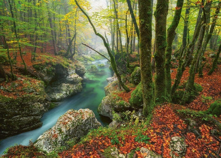 Heye 1000-piece little brook Jigsaw puzzle of a scenic forest and river 
