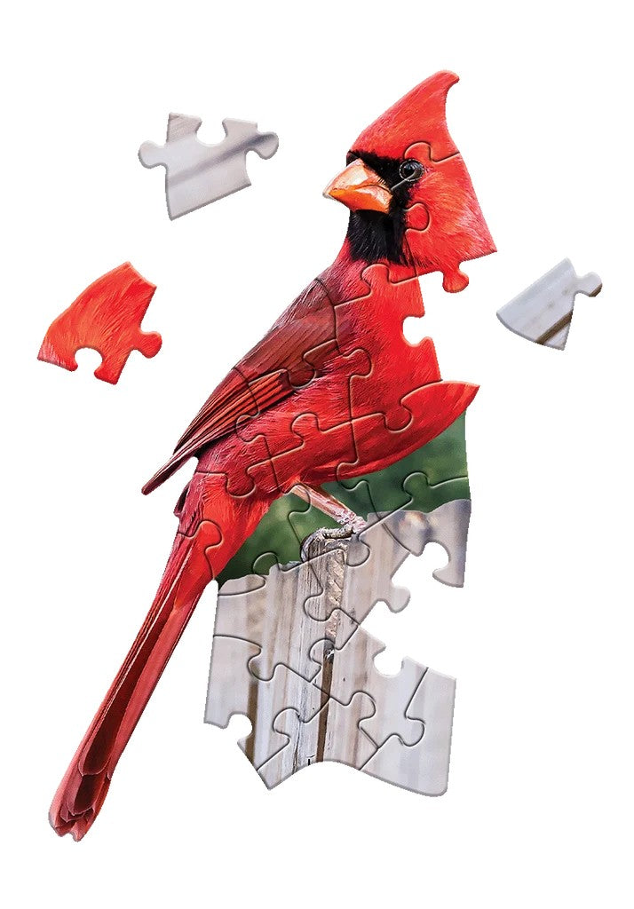 madd capp Cardinal 20-piece jigsaw Puzzle greeting card