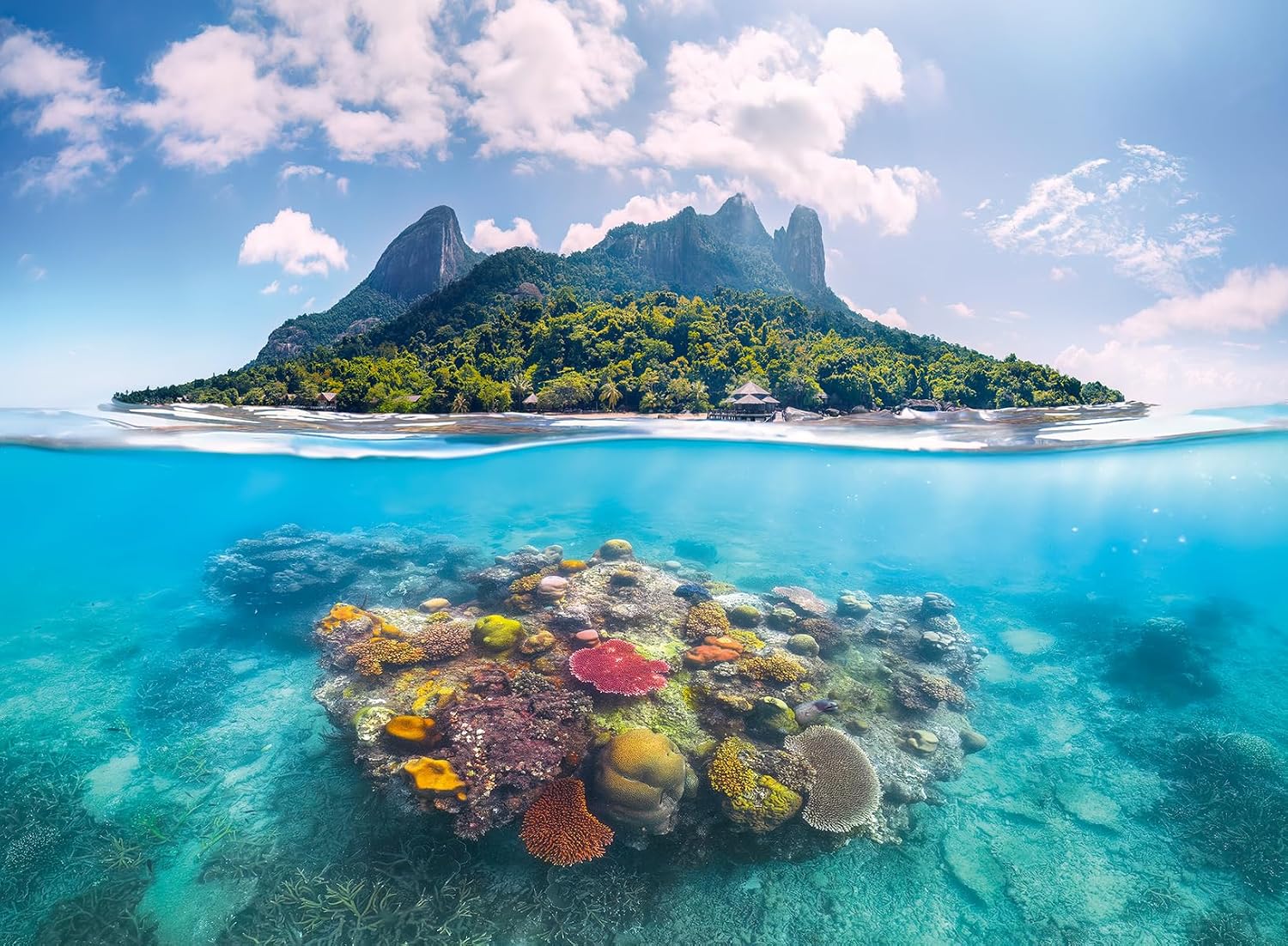 ravensburger island waterscape jigsaw puzzle featuring Split view of a tropical island and underwater coral reef.