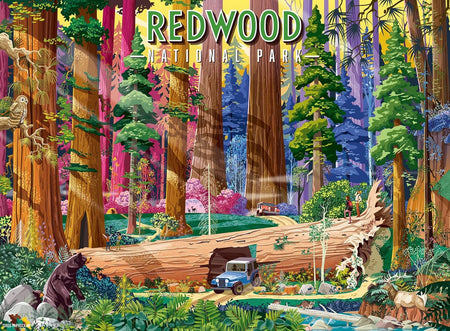 ravensburger redwood national park jigsaw puzzle featuring Colorful illustration of Redwood National Park with large trees and a jeep.