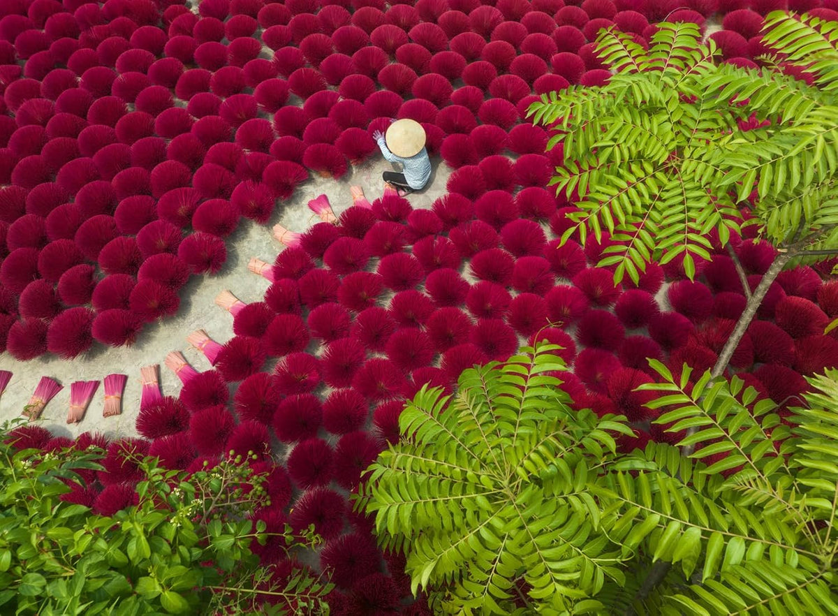 ravensburger sea of red jigsaw puzzle of Person in a field of red flowers with green leaves in the foreground