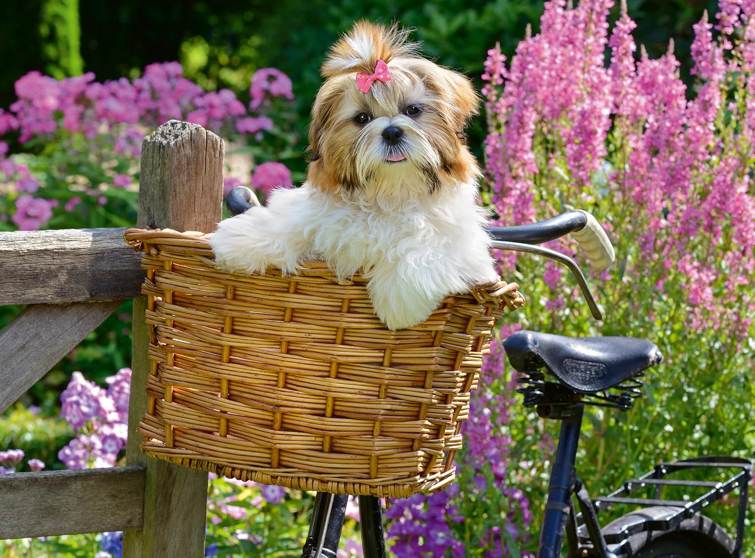 ravensburger sweet little dog jigsaw puzzle of Small dog with a bow in its hair sitting in a bicycle basket surrounded by pink flowers.