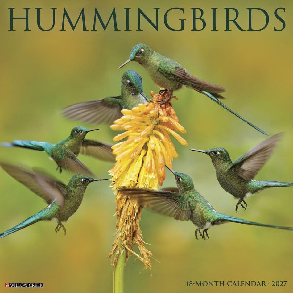 willow creek hummingbirds 2027 wall calendar 