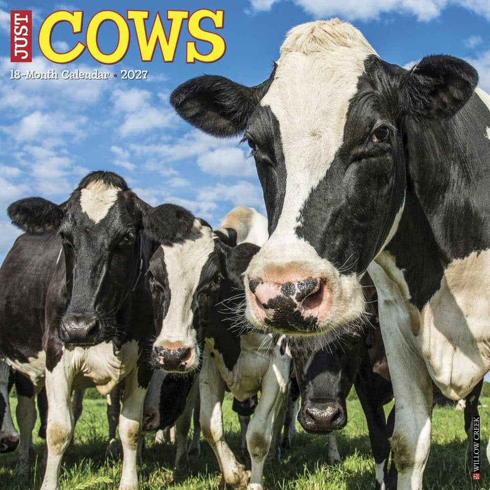 willow creek just cows 2027 wall calendar