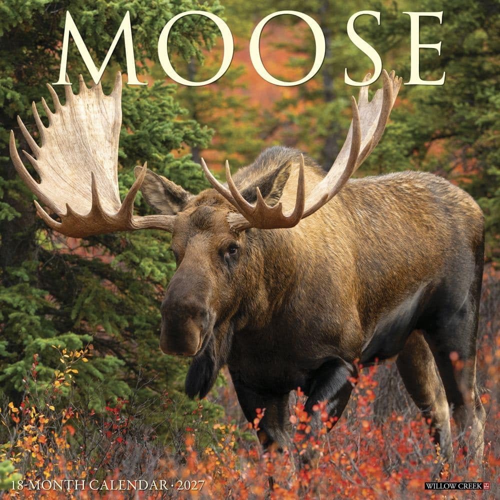 willow creek moose 2027 wall calendar