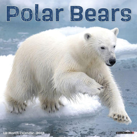 willow creek polar bears 2027 wall calendar