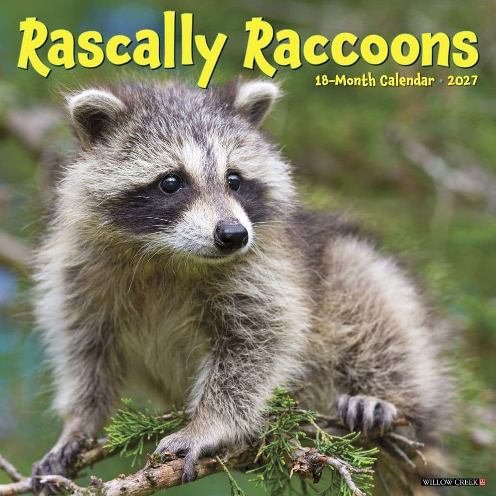 willow creek rascally raccoons 2027 wall calendar