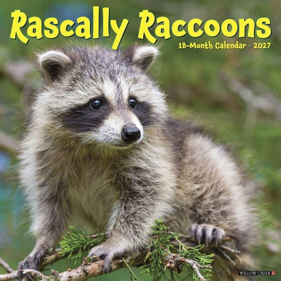willow creek rascally raccoons 2027 wall calendar