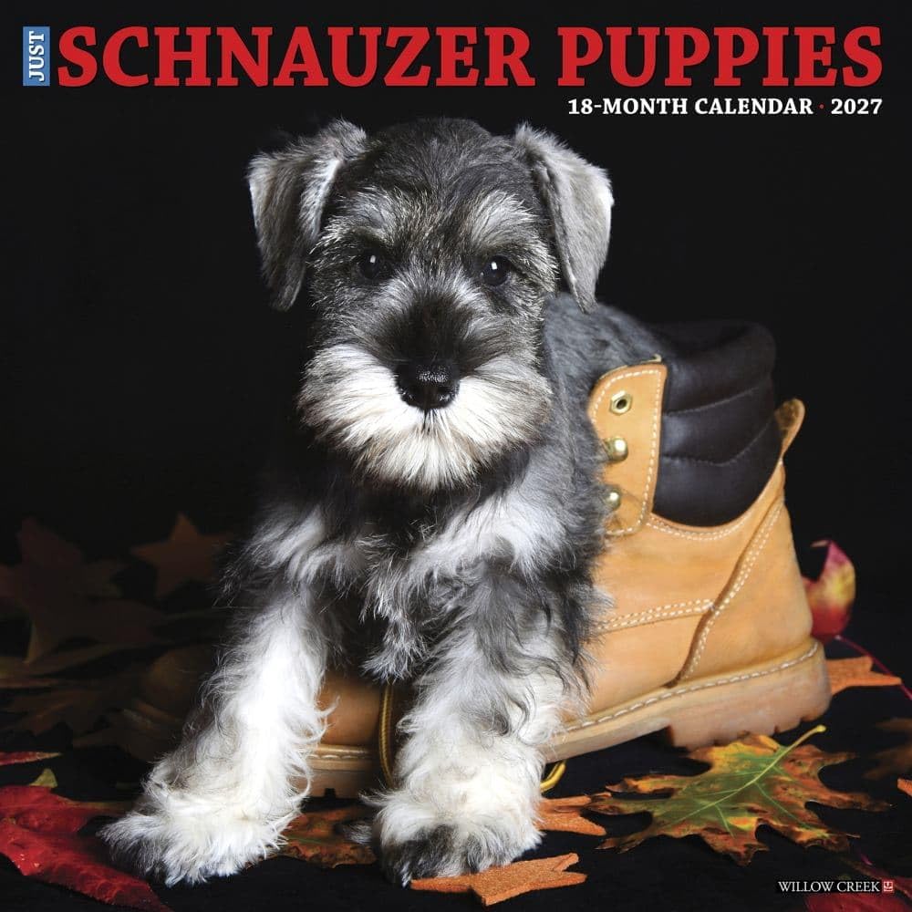 willow creek schnauzer puppies 2027 wall calendar