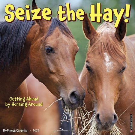 willow creek seize the hay! 2027 wall calendar
