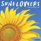 willow creek sunflowers 2027 wall calendar