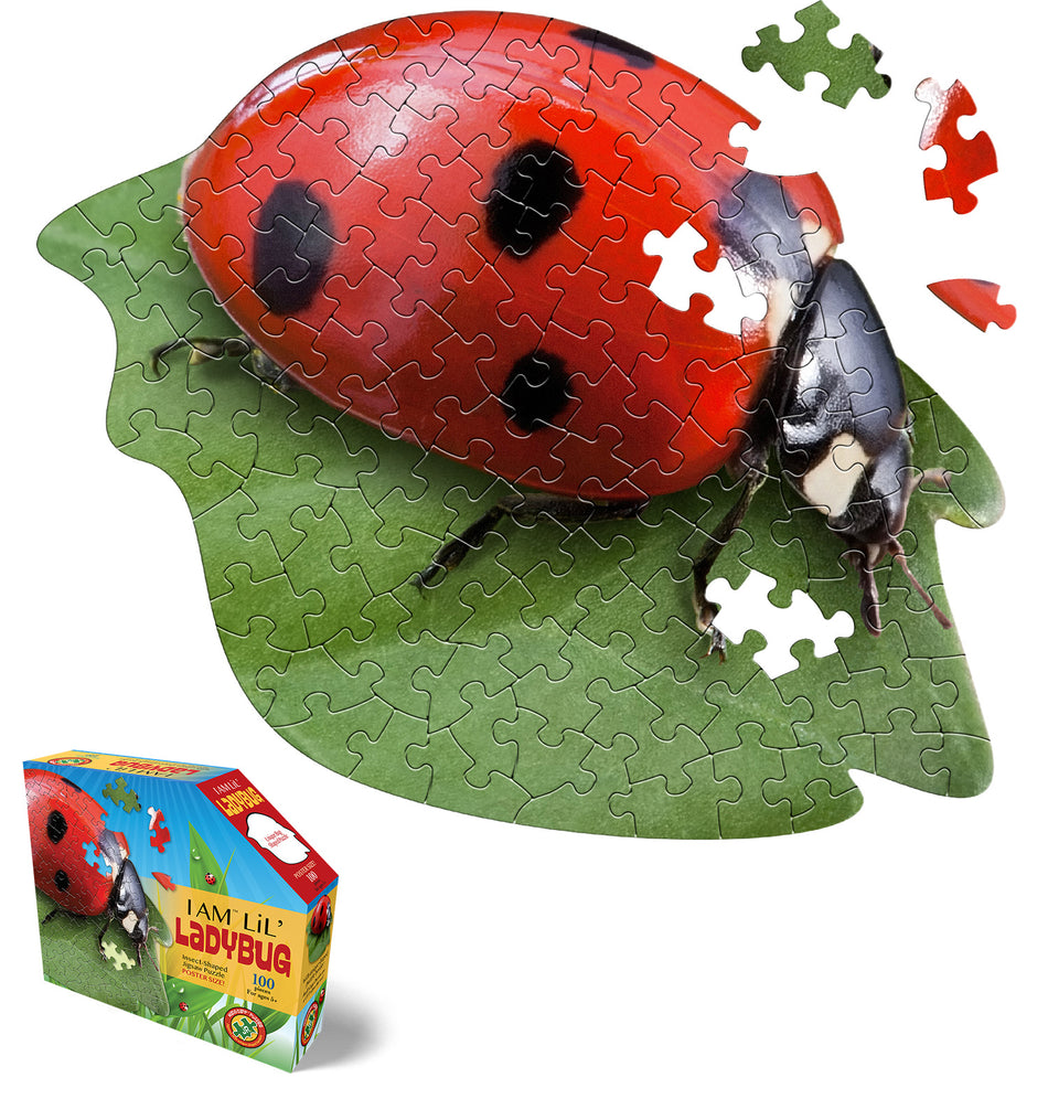 Madd Capp: I Am Lil' Ladybug: 100 Piece Puzzle