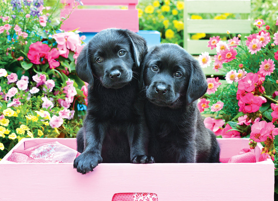 EuroGraphics: Black Labs In Pink Box: 500 Piece Puzzle