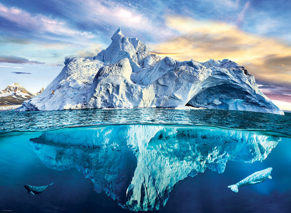 EuroGraphics: Arctic: 1000 Piece Puzzle
