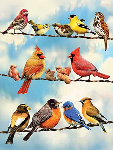 Cobble Hill: Birds On A Wire: 500 Piece Puzzle