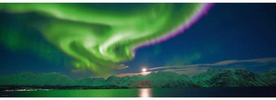Heye: Polar Light: 1000 Piece Panoramic Puzzle